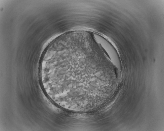 X0000085080995200704021432