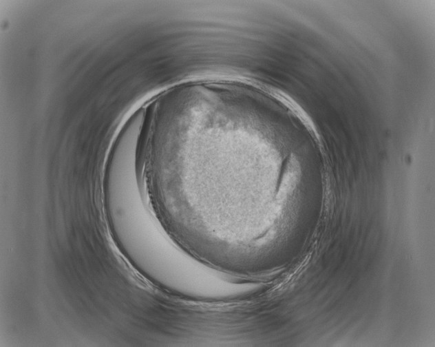 X0000085080996200704021432