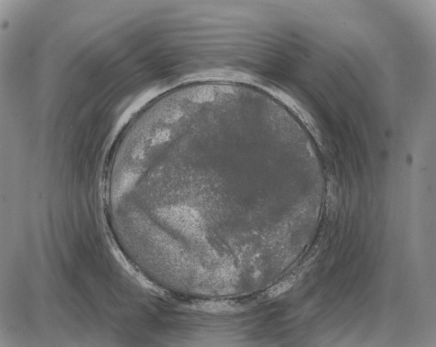 X0000085080998200704021432