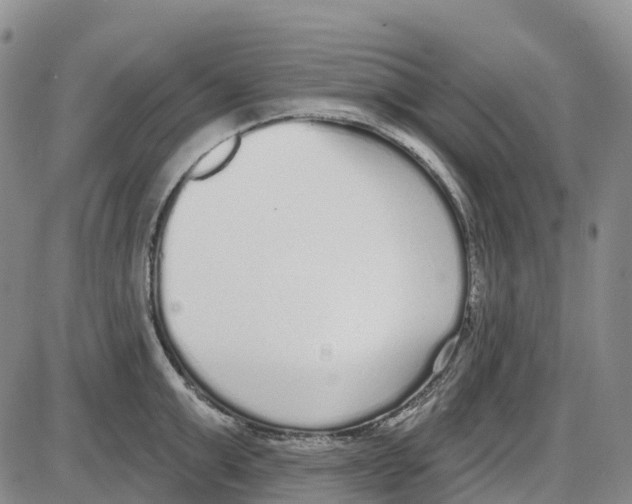 X0000085080999200704021432