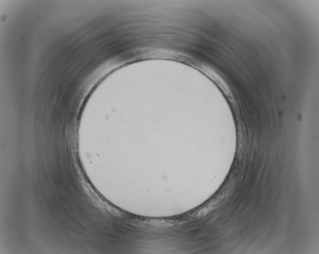 X0000085081000200704021432