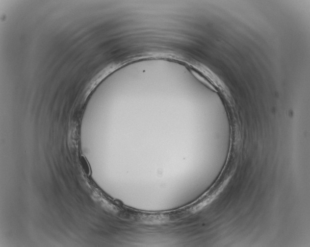 X0000085081001200704021432