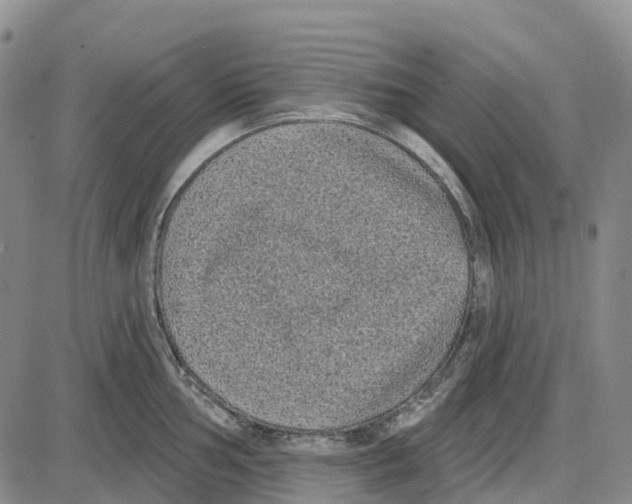 X0000085081002200704021432