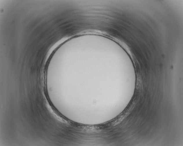 X0000085081003200704021432