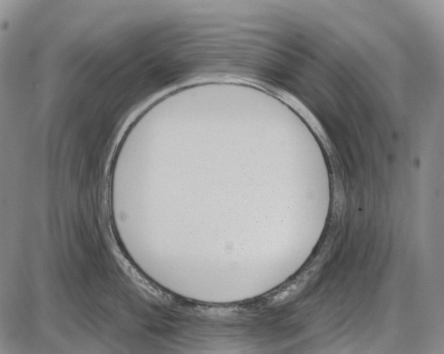 X0000085081004200704021432