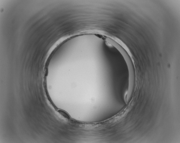 X0000085081005200704021432