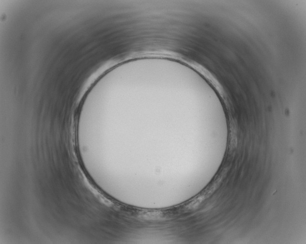 X0000085081006200704021432