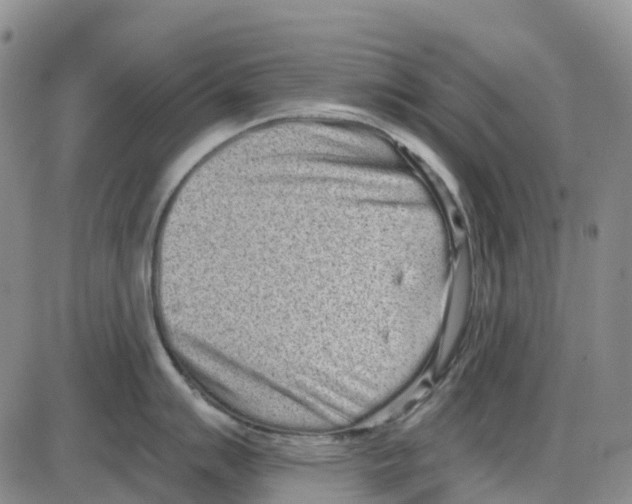 X0000085081007200704021432