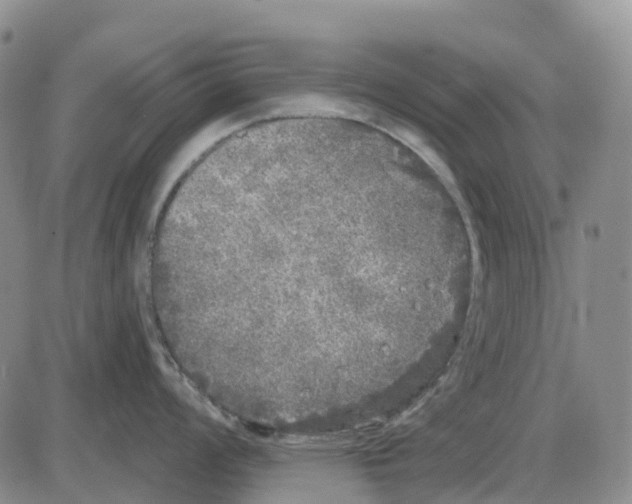 X0000085081008200704021432