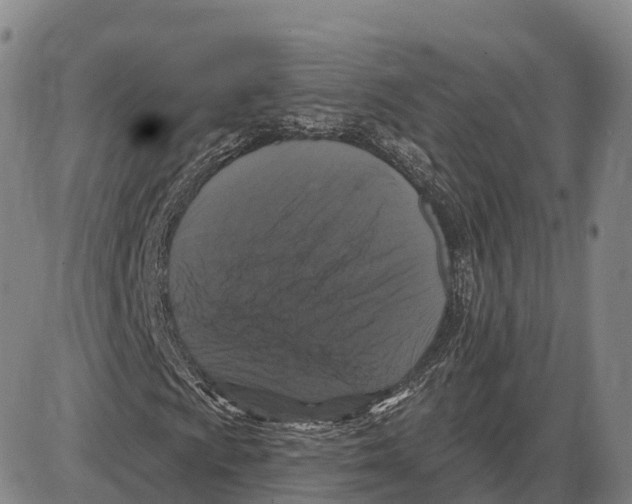 X0000085081009200704021431