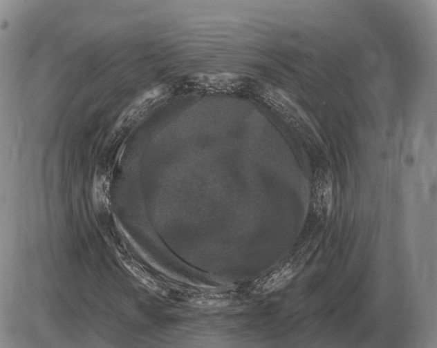 X0000085081010200704021431