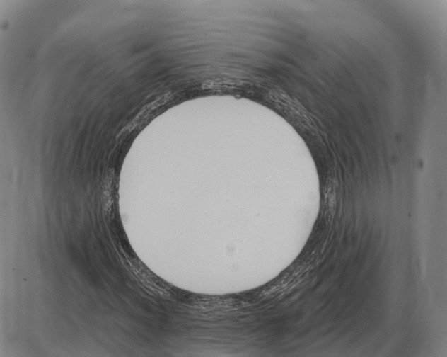 X0000085081012200704021431