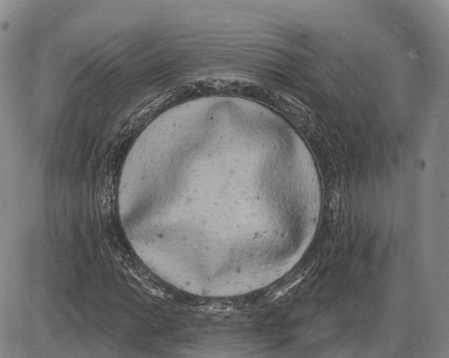 X0000085081014200704021431