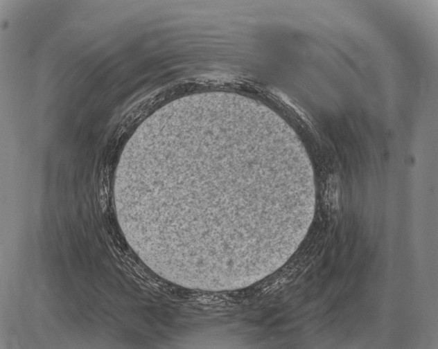 X0000085081015200704021431