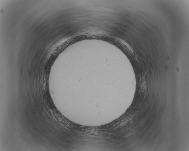 X0000085081016200704021431