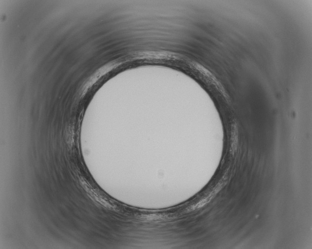 X0000085081017200704021431