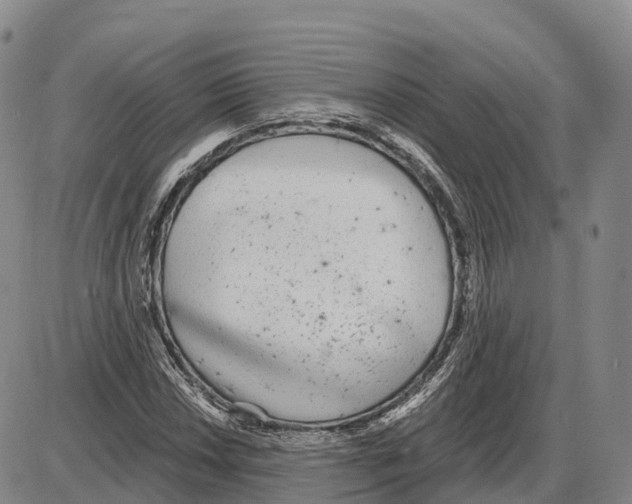 X0000085081018200704021431