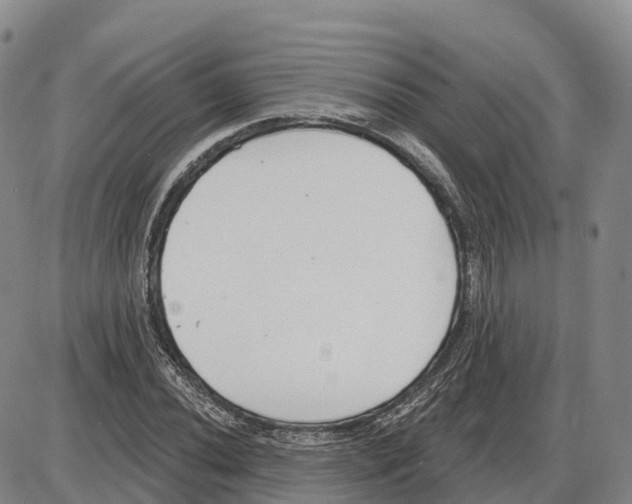 X0000085081020200704021431