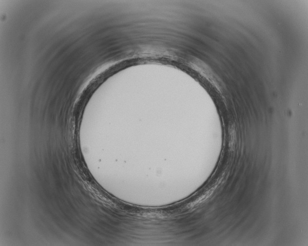 X0000085081021200704021431