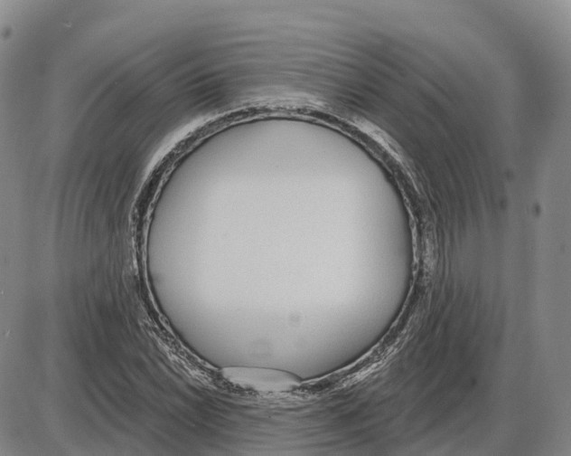 X0000085081022200704021431