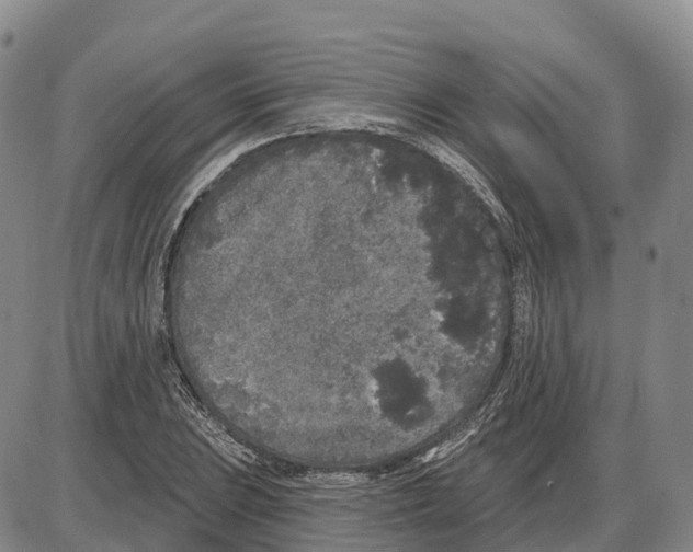 X0000085081023200704021431