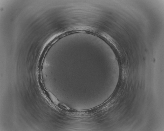 X0000085081024200704021431