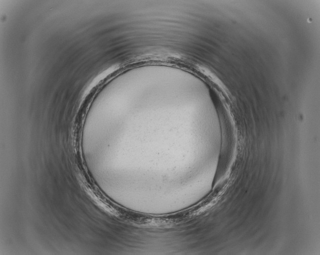 X0000085081026200704021431