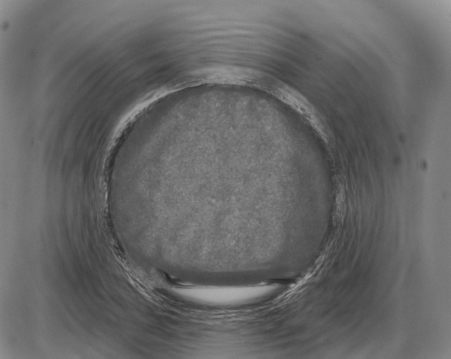 X0000085081027200704021431