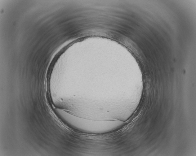 X0000085081028200704021431