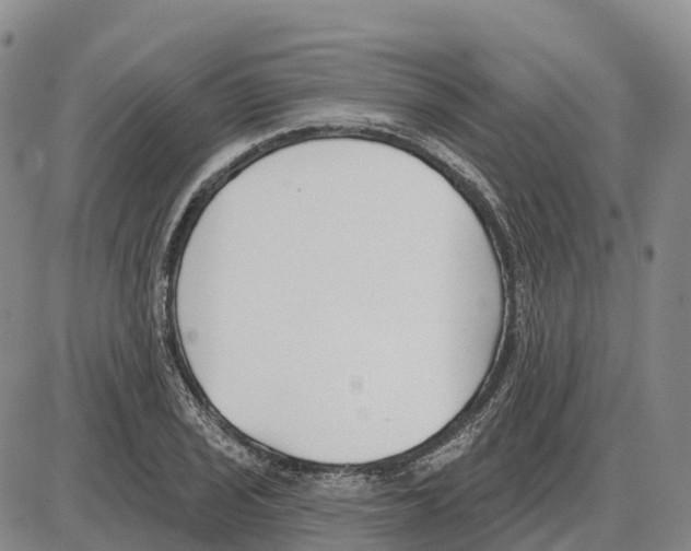 X0000085081029200704021431