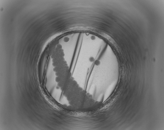 X0000085081030200704021431