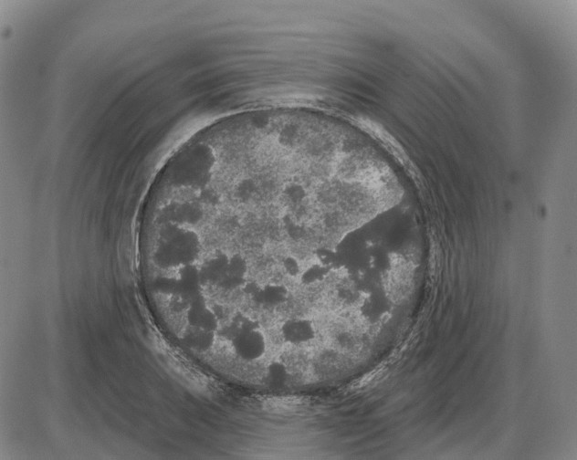 X0000085081031200704021431