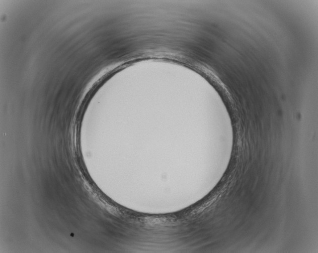 X0000085081032200704021431