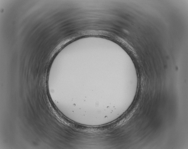 X0000085081033200704021431