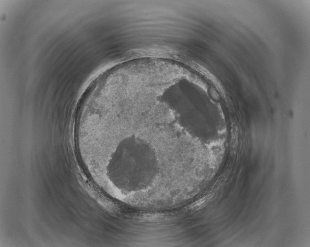 X0000085081035200704021431