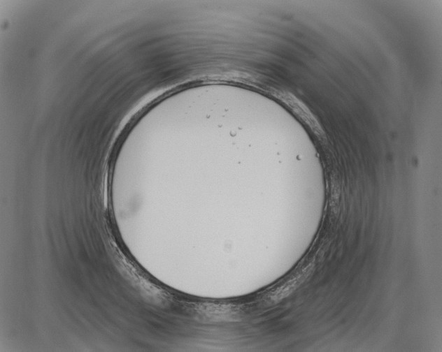 X0000085081036200704021431