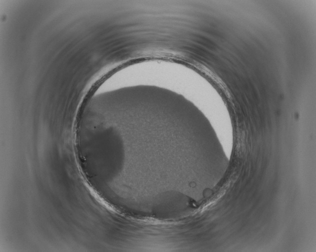 X0000085081037200704021431