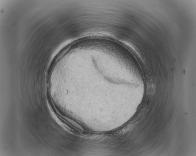 X0000085081038200704021431