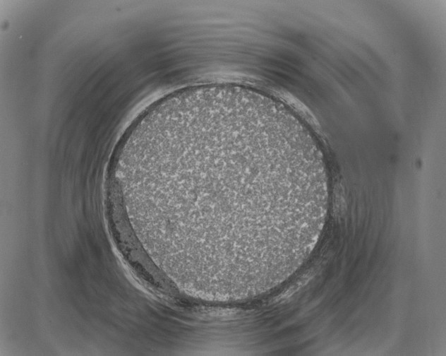 X0000085081039200704021431