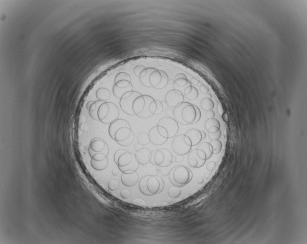 X0000085081040200704021431