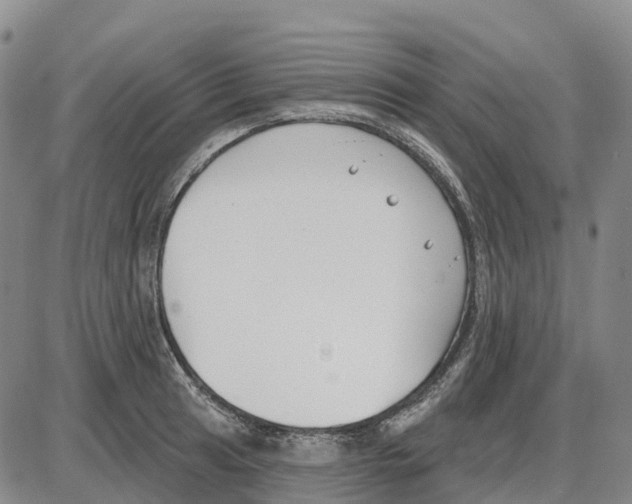 X0000085081041200704021431