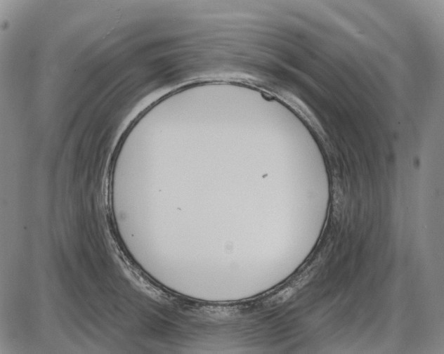 X0000085081044200704021431