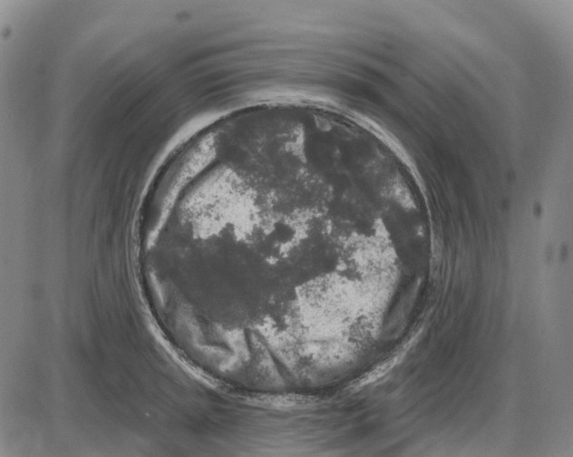 X0000085081045200704021431