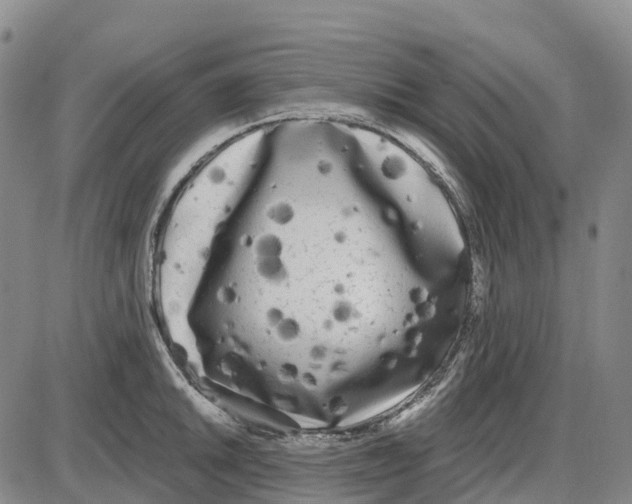 X0000085081046200704021431