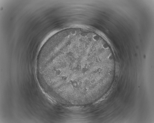 X0000085081048200704021432