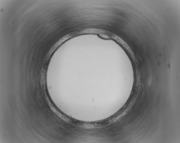 X0000085081049200704021432