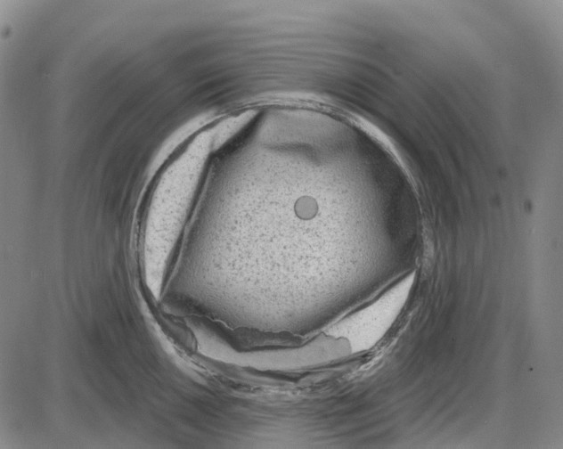 X0000085081050200704021432