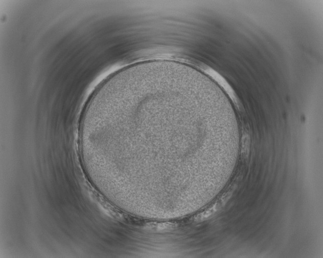 X0000085081051200704021432