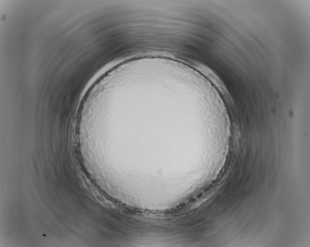 X0000085081052200704021432