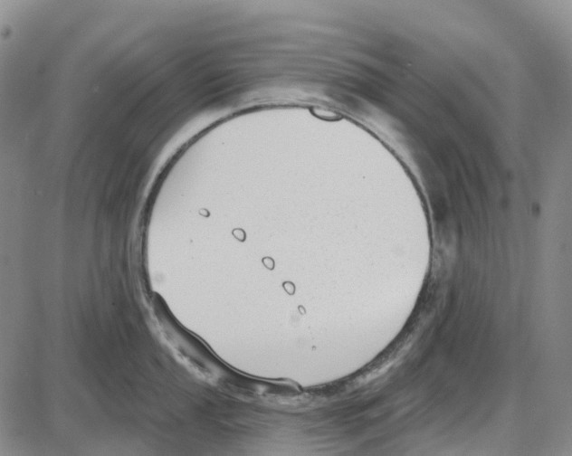 X0000085081053200704021432